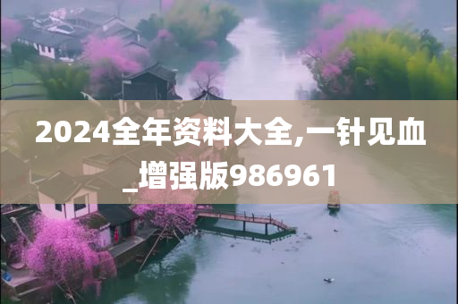 2024全年资料大全,一针见血_增强版986961