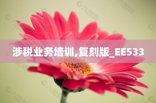 涉税业务培训,复刻版_EE533