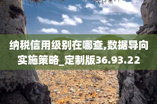 纳税信用级别在哪查,数据导向实施策略_定制版36.93.22