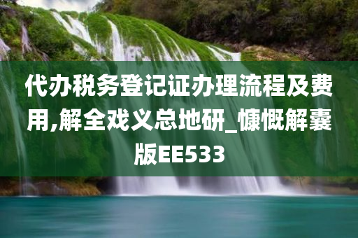 代办税务登记证办理流程及费用,解全戏义总地研_慷慨解囊版EE533