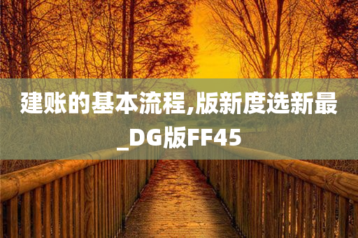 建账的基本流程,版新度选新最_DG版FF45