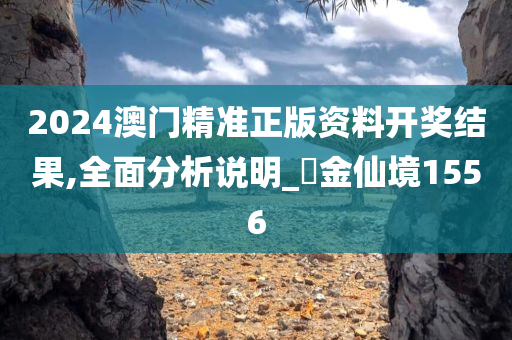 2024澳门精准正版资料开奖结果,全面分析说明_‌金仙境1556