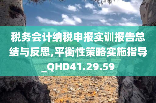 税务会计纳税申报实训报告总结与反思,平衡性策略实施指导_QHD41.29.59