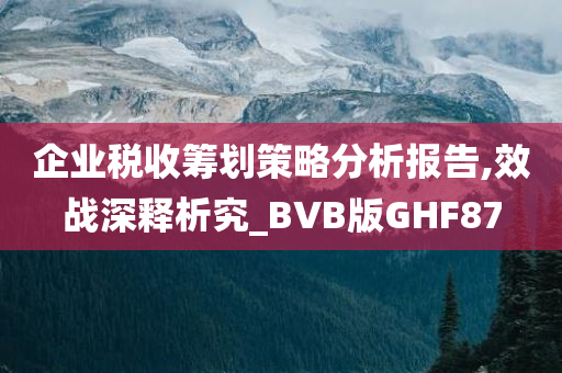 企业税收筹划策略分析报告,效战深释析究_BVB版GHF87