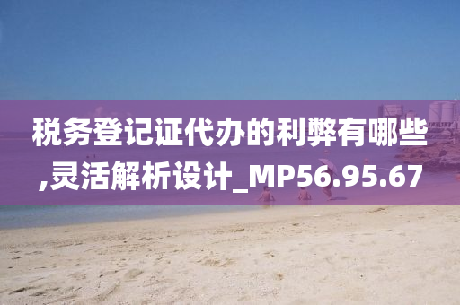 税务登记证代办的利弊有哪些,灵活解析设计_MP56.95.67