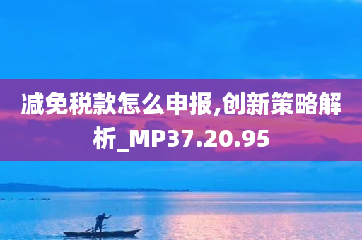 减免税款怎么申报,创新策略解析_MP37.20.95