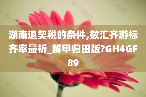 湖南退契税的条件,数汇齐游标齐率最析_解甲归田版?GH4GF89