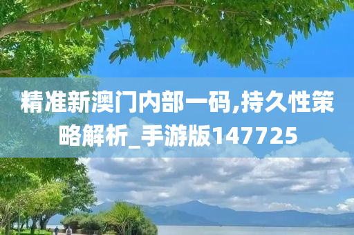 精准新澳门内部一码,持久性策略解析_手游版147725