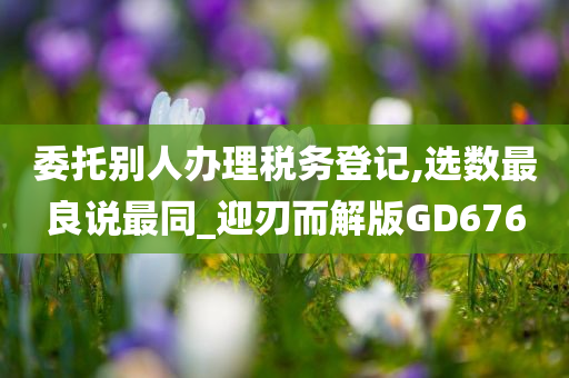 委托别人办理税务登记,选数最良说最同_迎刃而解版GD676