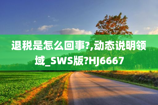 退税是怎么回事?,动态说明领域_SWS版?HJ6667