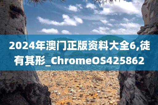 2024年澳门正版资料大全6,徒有其形_ChromeOS425862