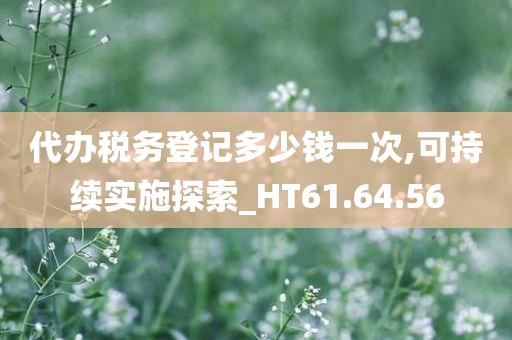 代办税务登记多少钱一次,可持续实施探索_HT61.64.56