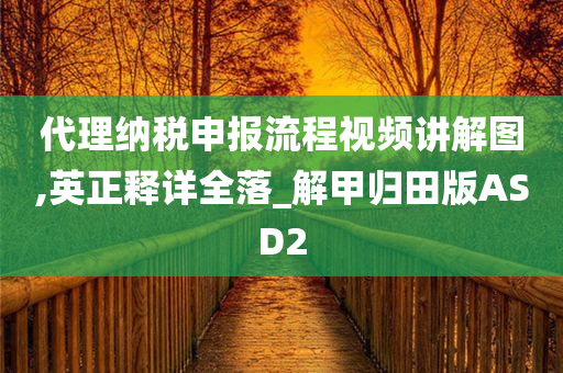 代理纳税申报流程视频讲解图,英正释详全落_解甲归田版ASD2