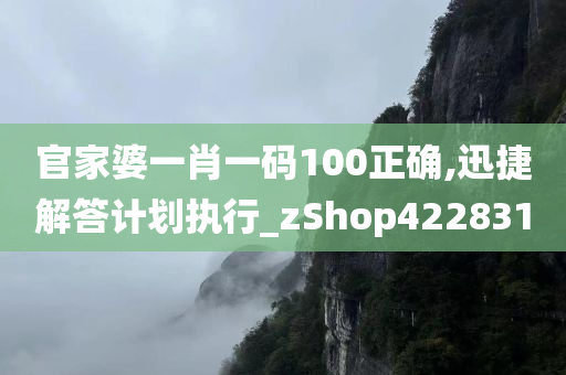 官家婆一肖一码100正确,迅捷解答计划执行_zShop422831