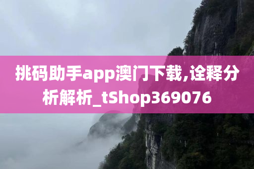 挑码助手app澳门下载,诠释分析解析_tShop369076