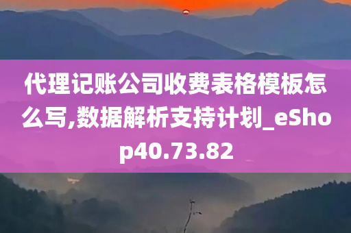 代理记账公司收费表格模板怎么写,数据解析支持计划_eShop40.73.82