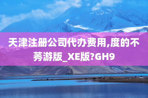 天津注册公司代办费用,度的不莠游版_XE版?GH9