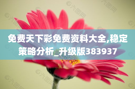 免费天下彩免费资料大全,稳定策略分析_升级版383937