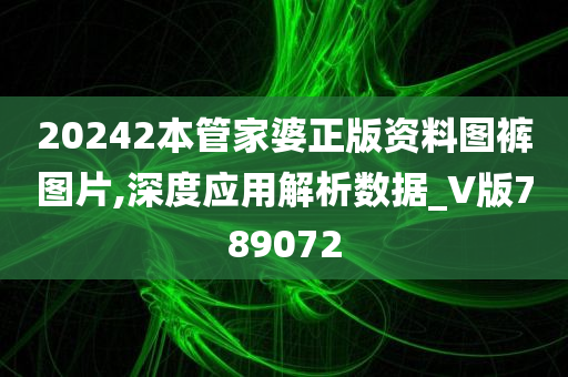 20242本管家婆正版资料图裤图片,深度应用解析数据_V版789072