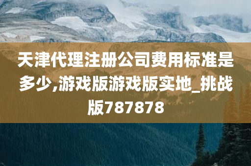 天津代理注册公司费用标准是多少,游戏版游戏版实地_挑战版787878