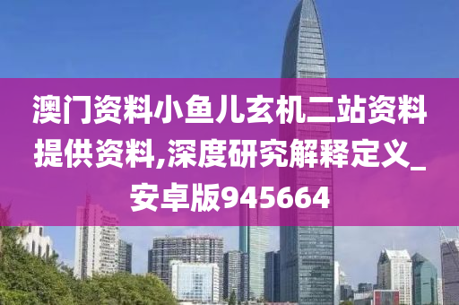 澳门资料小鱼儿玄机二站资料提供资料,深度研究解释定义_安卓版945664