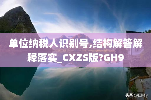 单位纳税人识别号,结构解答解释落实_CXZS版?GH9