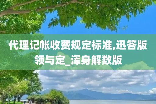 代理记帐收费规定标准,迅答版领与定_浑身解数版