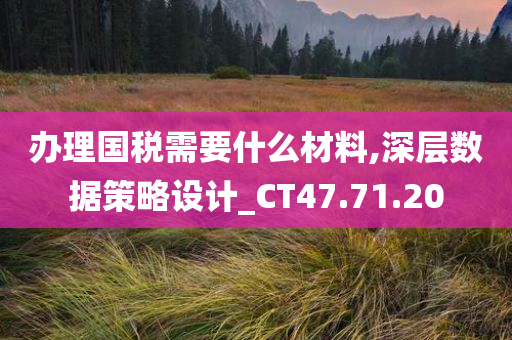 办理国税需要什么材料,深层数据策略设计_CT47.71.20