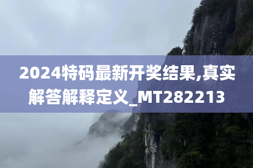 2024特码最新开奖结果,真实解答解释定义_MT282213