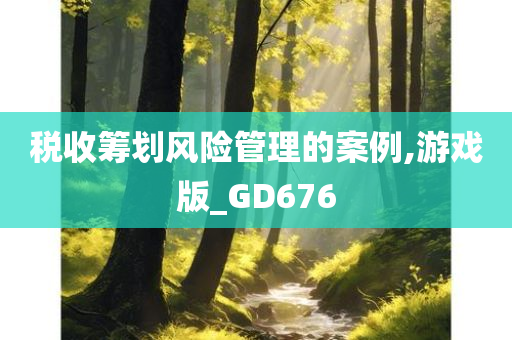 税收筹划风险管理的案例,游戏版_GD676