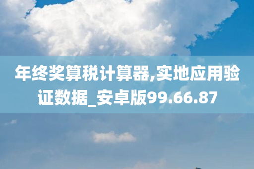 年终奖算税计算器,实地应用验证数据_安卓版99.66.87