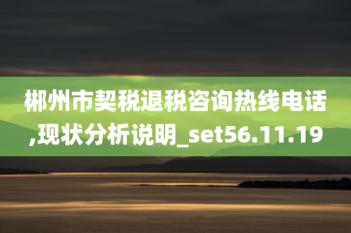 郴州市契税退税咨询热线电话,现状分析说明_set56.11.19