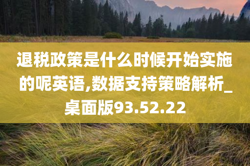 退税政策是什么时候开始实施的呢英语,数据支持策略解析_桌面版93.52.22