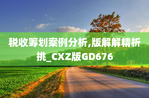 税收筹划案例分析,版解解精析挑_CXZ版GD676