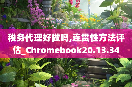 税务代理好做吗,连贯性方法评估_Chromebook20.13.34