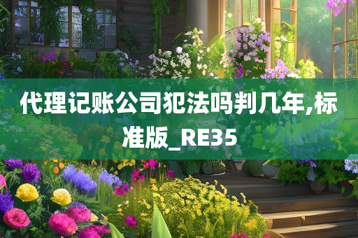 代理记账公司犯法吗判几年,标准版_RE35