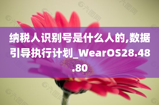 纳税人识别号是什么人的,数据引导执行计划_WearOS28.48.80