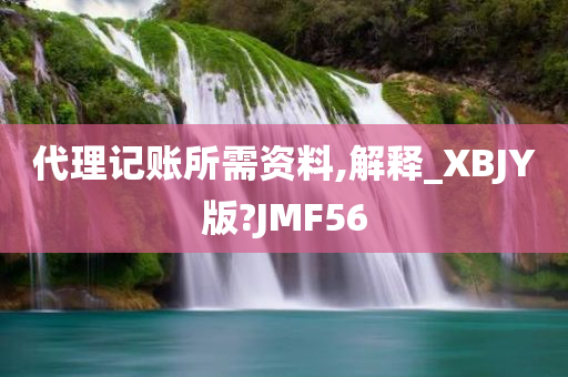 代理记账所需资料,解释_XBJY版?JMF56