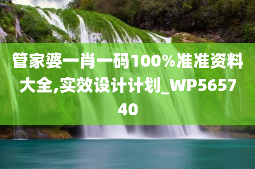 管家婆一肖一码100%准准资料大全,实效设计计划_WP565740