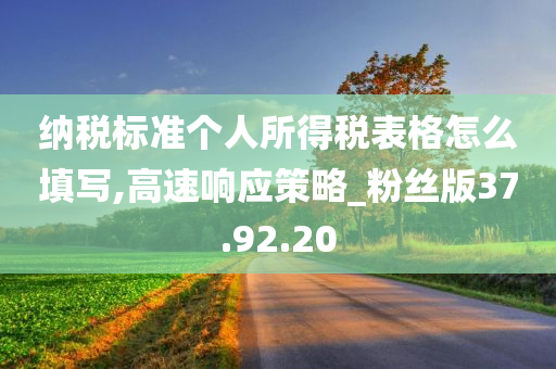 纳税标准个人所得税表格怎么填写,高速响应策略_粉丝版37.92.20