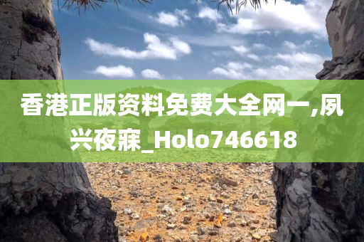 香港正版资料免费大全网一,夙兴夜寐_Holo746618