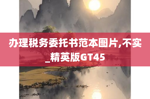 办理税务委托书范本图片,不实_精英版GT45