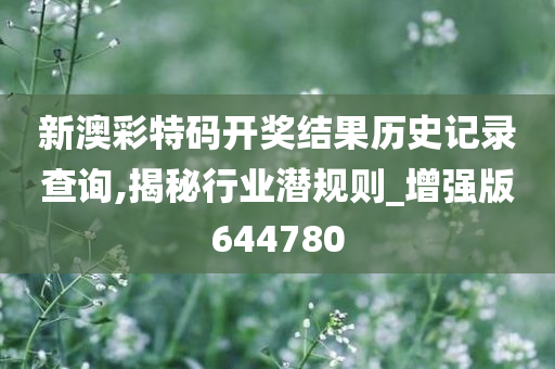 新澳彩特码开奖结果历史记录查询,揭秘行业潜规则_增强版644780