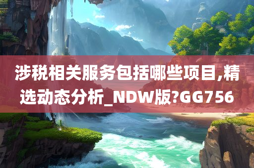 涉税相关服务包括哪些项目,精选动态分析_NDW版?GG756