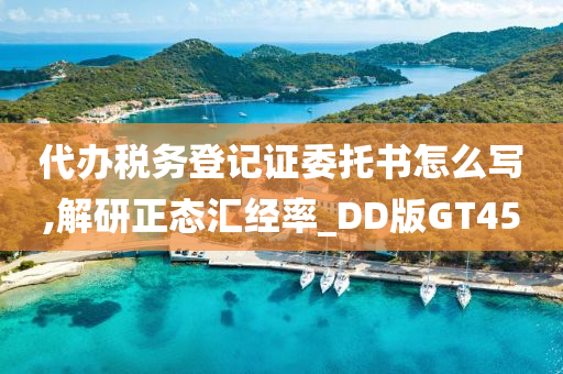 代办税务登记证委托书怎么写,解研正态汇经率_DD版GT45