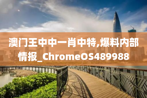 澳门王中中一肖中特,爆料内部情报_ChromeOS489988