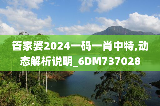 管家婆2024一码一肖中特,动态解析说明_6DM737028