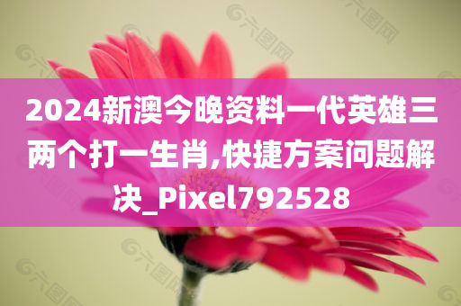 2024新澳今晚资料一代英雄三两个打一生肖,快捷方案问题解决_Pixel792528