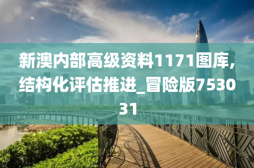 新澳内部高级资料1171图库,结构化评估推进_冒险版753031