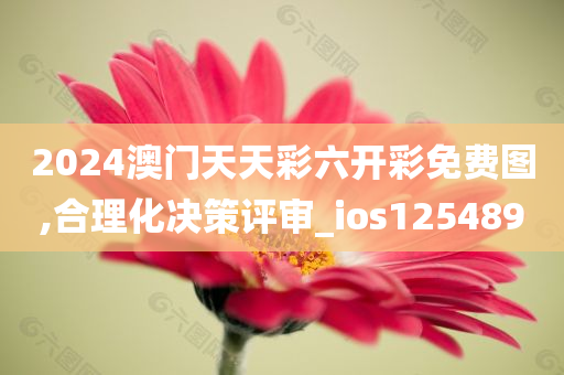 2024澳门天天彩六开彩免费图,合理化决策评审_ios125489